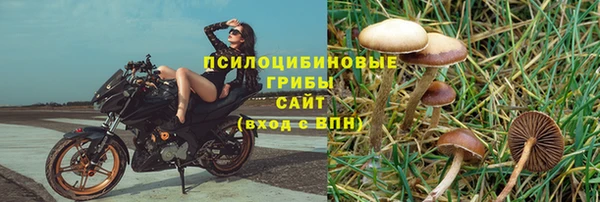 дживик Баксан