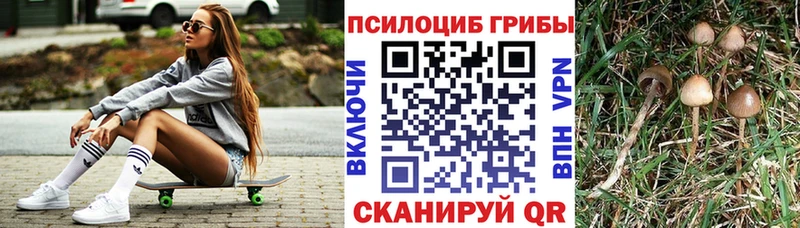 Псилоцибиновые грибы ЛСД  Иланский 